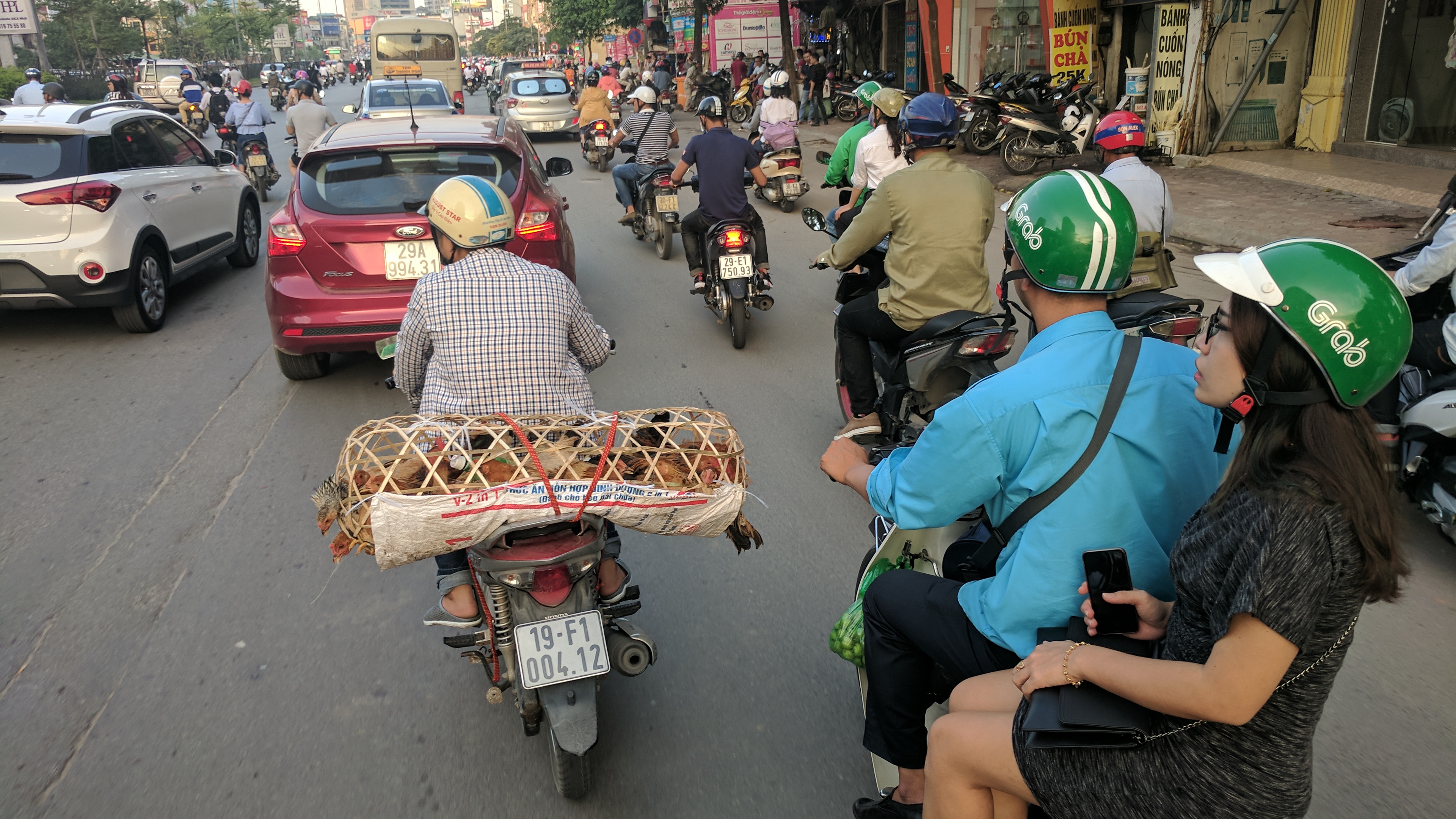 Basket of chickens on the back of a motorbike in Hanoi, Vietnam.